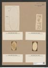 Navicula smithii Breb. (de-Toni-Nr.: Genus 1, Species 289) Zeichnungen Sammlung Grunow Nr. 645 (NHMW-BOT-W0367013)